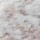 ivory, beige, gray