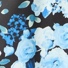 blue rose garden