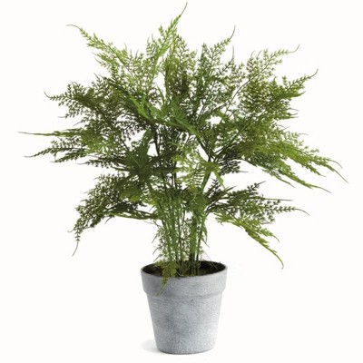 Plum & Post Plumosa Fern Artificial Plant Drop-In
