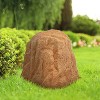 Sunnydaze Outdoor Polyresin Landscape Rock Septic Cover with Stakes - 2 of 4