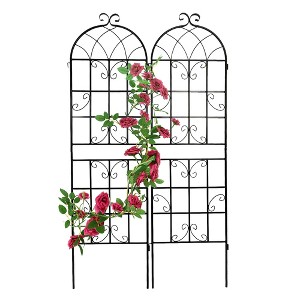 2Pcs Garden Trellis, Multi-purpose Anti-rust Country Style Outdoor Plant Trellis Support for Garden Decoration - 1 of 4