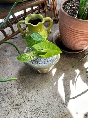 Guest review image 1 of 3, zoom in