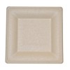 Responsible Products 10" Square Plate Compostable Natural Fiber - Pack of 50 - 2 of 3