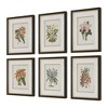 Uttermost Orchid Botanical Prints-Diverse Orchid Varieties in Gold Lined Frames, Set of 6 - 3 of 4