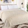 Diamond Flannel Embossed Fleece Blanket by Blue Nile Mills - 2 of 4