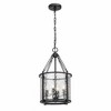 Z-Lite Barrington 4 - Light Pendant in  Matte Black - 3 of 4