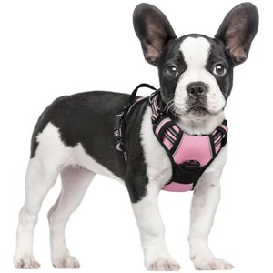 rabbitgoo Dog Harness No Pull with 2 Leash Clips, Control Handle for Small Dogs, Pink, S - 1 of 1