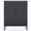NicBex 40 inches Metal File Cabinet with 2 Doors, Storage Cabinet with 2 Laminates for Homes, Offices, Coffee Bar - 4 of 4