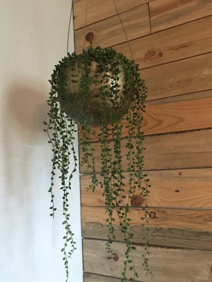 Summer Boho-Chic Plastic Potted Hanging Plant Arrangement