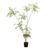 180cm/6Ft Artificial Mahonia Fortunei Tree in Pot, Large Realistic Umbrella Plants for Home Office Balcony Living Room Lobby Decor - 2 of 4