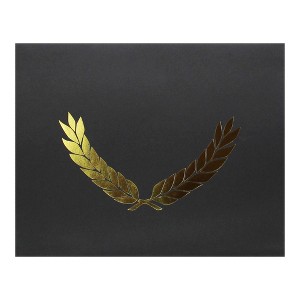 Hayes Publishing Gold Foil Stamped Black Certificate Folders, 10" x 13", Pack of 30 - 1 of 3