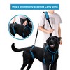 Pet Dog Carry Sling,Pet Legs Support Rehabilitation Lift Harness For Disabled Injured Elderly Dog Joint Injuries Arthritis - 3 of 4