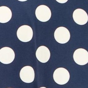 navy polka
