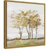 16" x 16" Golden Acre Wood by Isabelle Z Framed Canvas Wall Art - Amanti Art: Serene Meadow & River Trees Scene - 2 of 4