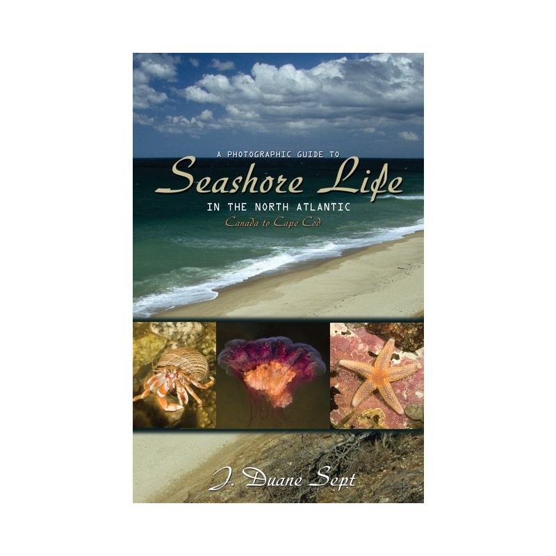 A Photographic Guide to Seashore Life in the North Atlantic - by  J Duane Sept (Paperback), 1 of 2