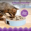 Catstages Scratch N Hunt Puzzle with Corrugated Scratcher Cat Agility Toy - Blue - 4 of 4