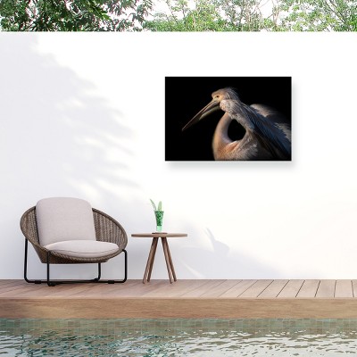 Trademark Fine Art - Natalia Rublina The Pelican Philosopher... Matted Framed Art