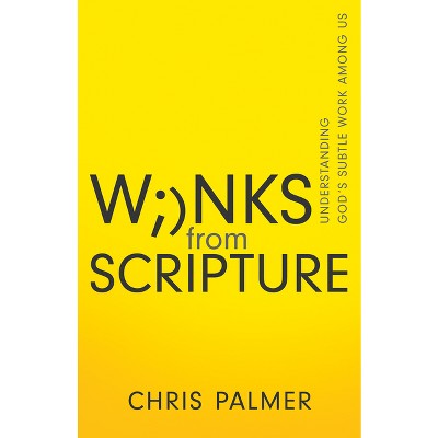 Winks from Scripture - by  Chris Palmer (Paperback)