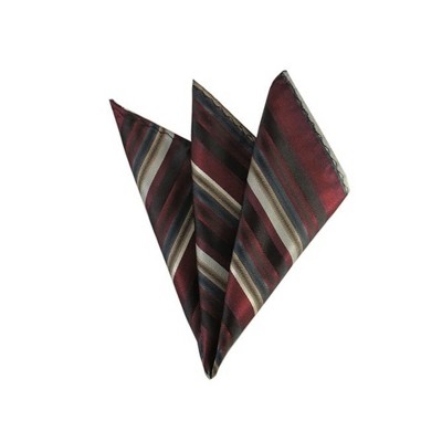 TheDapperTie - Men's Stripe Woven 10 Inch x 10 Inch Pocket Squares Handkerchief