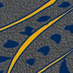 west virginia mountaineers