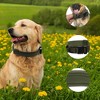 Unique Bargains Adjustable Heavy Duty Collar with Handle 1 Pc - 2 of 4