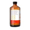 Health Ade Organic Citrus Immune Boost Kombucha - 16 fl oz - 2 of 2