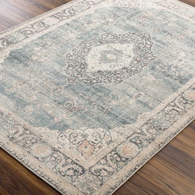 Ice Blue and Cream Polyester Traditional Rectangular Area Rug