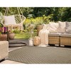 Liora Manne Carmel  Indoor/Outdoor Rug  Green.. - 3 of 4