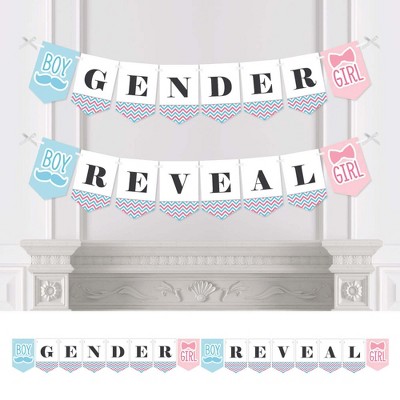 Big Dot of Happiness Chevron Gender Reveal - Gender Reveal Bunting Banner - Party Decorations - Gender Reveal