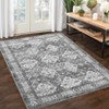 Machine Washable Low Pile Non Slip Rugs Vintage Foldable Area Rug - 3 of 4