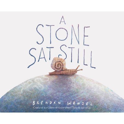 A Stone SAT Still - (Hardcover)