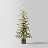 5' Pre-lit Potted Indexed Balsam Fir Artificial Christmas Tree Clear Lights - Wondershop™
