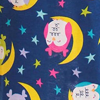 blue - moonstruck owl