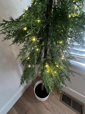 Guest review image 2 of 4, zoom in