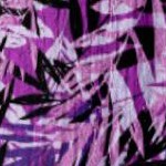 purple tropical leaves