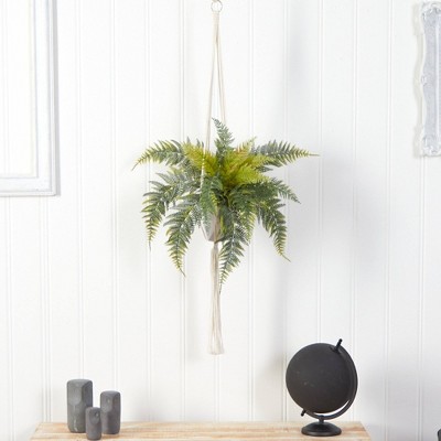 Boho Chic 25" Variegated Fern in Decorative Hanging Planter