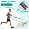 PetAmi Heavy Duty Hands-Free Waist Leash for Dog Walking Jogging Hiking, Bungee Belt with Padded Dual Handle for All Size Pet up to 150 lbs - 2 of 4