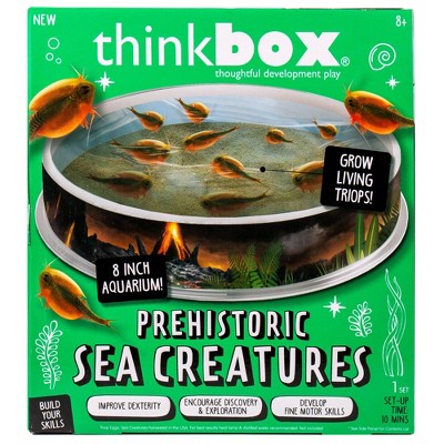 Prehistoric Sea Creatures Terrarium - Thinkbox