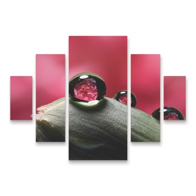 Trademark Fine Art Gordon Semmens Dew Drops Macro 06 3 Piece Panel Set Art