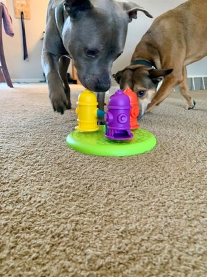 Maze Treat Dispensing Dog Toy Brain and Exercise Game for Dogs by Nina  Ottosson for sale online