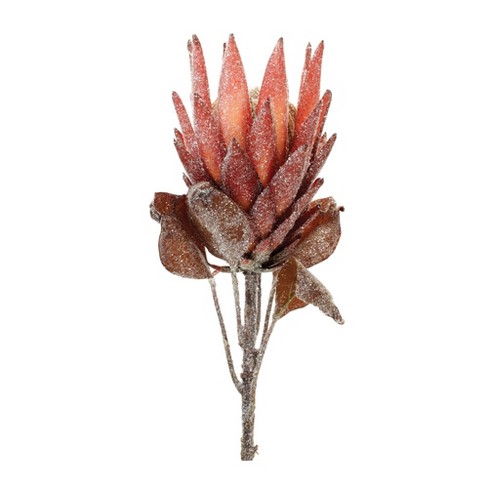 Melrose Red Protea Flower Stem (set Of 2) : Target