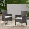 SKRAN Outdoor Wicker Dining Chairsset with tubular stainless steel of legs,for reception rooms, living and lounge areas, Grey(Set of 2) - 2 of 4