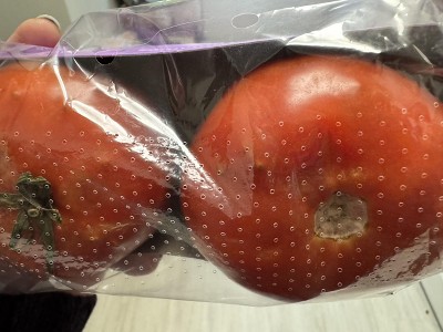 Guest review image 2 of 3, zoom in