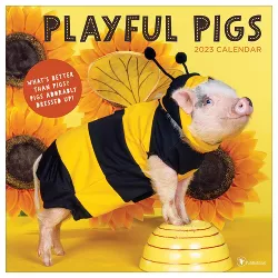 2023 Wall Calendar Playful Pigs - TF Publishing