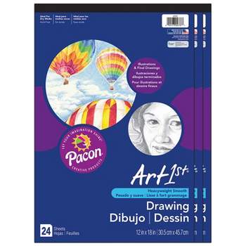 Bogus Drawing Paper, 80 lb., 18 x 24 Inches, Gray, 250 Sheets
