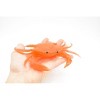 Collectible Wildlife Gifts | Crab, Orange Crab, With Squeak, Squeakey, Rubber, Crustacean Design, Hand Painted, Model,  Gift   7"   F1764 B188 - 4 of 4