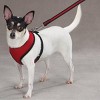 Casual Canine Mesh Harness S Red - 2 of 4