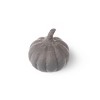 Small Terracotta Pumpkins Gray - Bullseye's Playground™ - 2 of 3