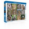 New York Puzzle Company Owls and Owlets 1000 Piece Puzzle - 2 of 4
