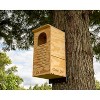 JCs Wildlife Barred Owl Nesting Box - Treated Exterior Grade Plywood - Mounting Hardware and Pine Shavings Included - Dedicated Clean Out Door for - 2 of 4